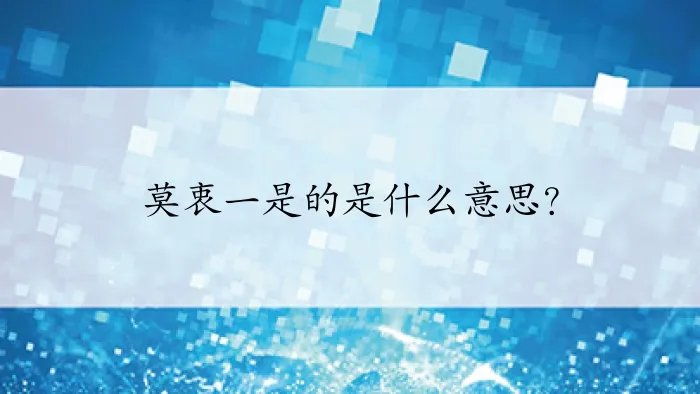 莫衷一是的是什么意思？
