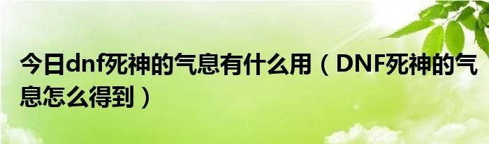 今日dnf死神的气息有什么用(DNF死神的气息怎么得到)