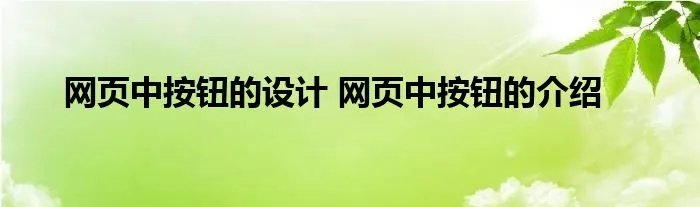 网页中按钮的设计 网页中按钮的介绍