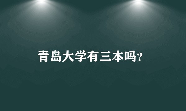 青岛大学有三本吗？