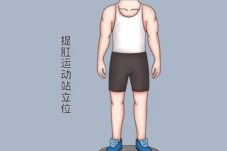 提肛运动怎么做图片