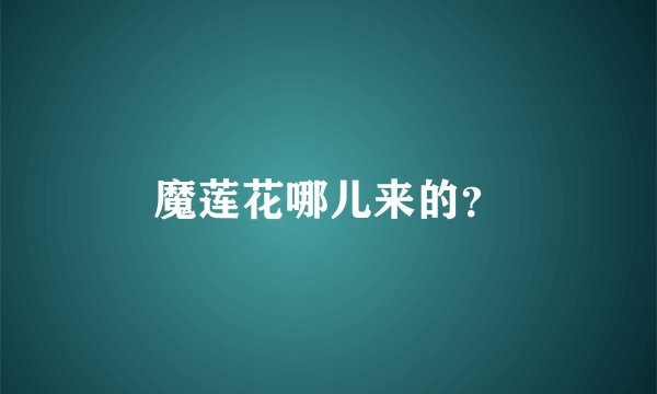 魔莲花哪儿来的？