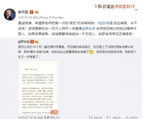 孙雨晨欲百万聘请罗永浩怎么回事 罗永浩限制消费令什么情况