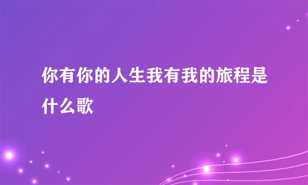 你有你的人生我有我的旅程是什么歌