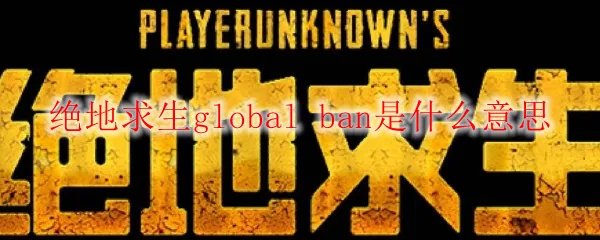绝地求生global ban是什么意思