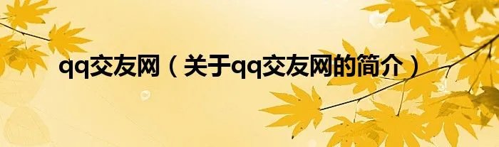 qq交友网（关于qq交友网的简介）