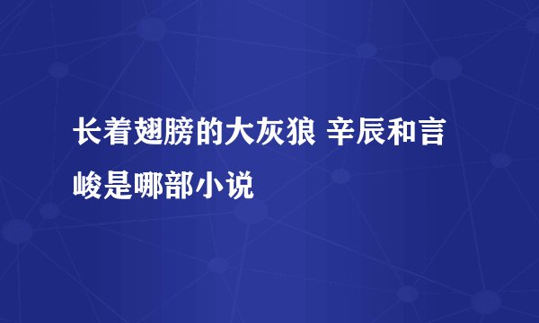 长着翅膀的大灰狼 辛辰和言峻是哪部小说