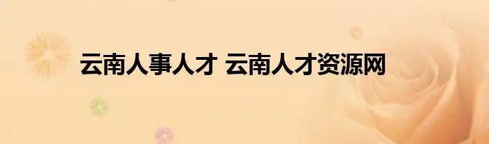云南人事人才 云南人才资源网