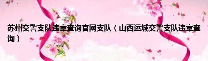 苏州交警支队违章查询官网支队(山西运城交警支队违章查询)