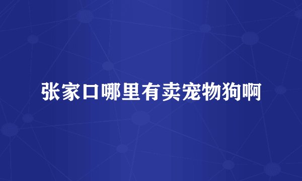 张家口哪里有卖宠物狗啊