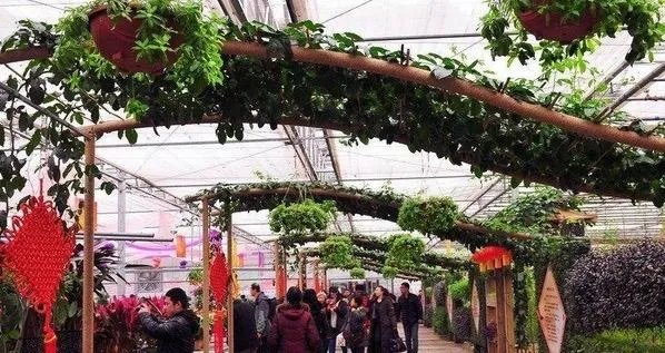 长春有哪些花鸟鱼市场?