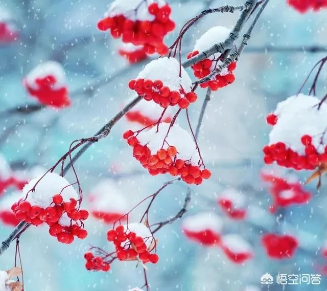 你十七岁做过最浪漫的事情是什么？