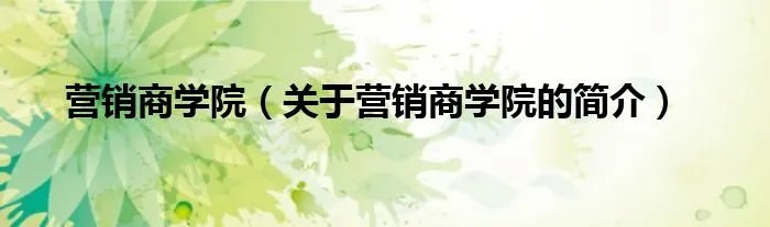 营销商学院（关于营销商学院的简介）