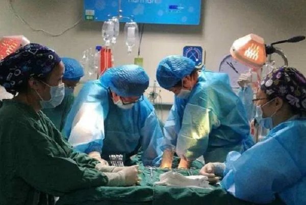 黑龙江一家9口聚餐中毒7人死亡,悲剧发生的原因是什么?