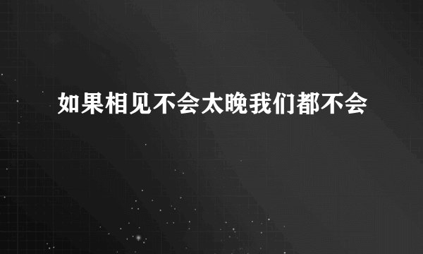 如果相见不会太晚我们都不会