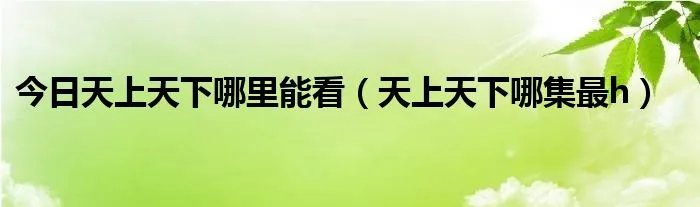 今日天上天下哪里能看（天上天下哪集最h）