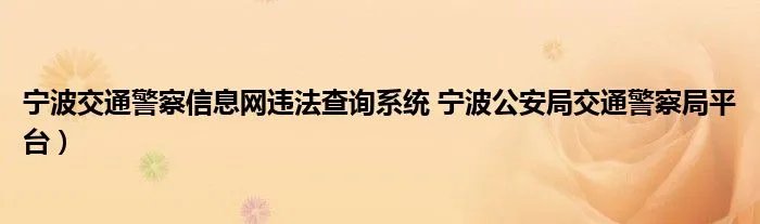 宁波交通警察信息网违法查询系统 宁波公安局交通警察局平台)