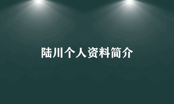 陆川个人资料简介