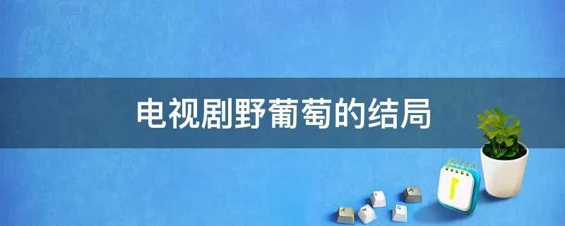 电视剧野葡萄的结局