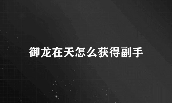 御龙在天怎么获得副手