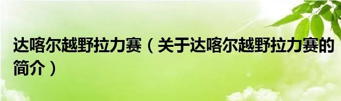达喀尔越野拉力赛（关于达喀尔越野拉力赛的简介）