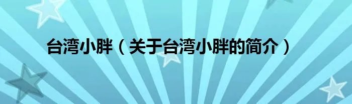 台湾小胖（关于台湾小胖的简介）