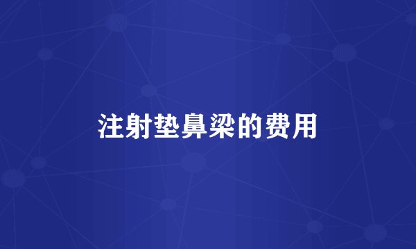 注射垫鼻梁的费用