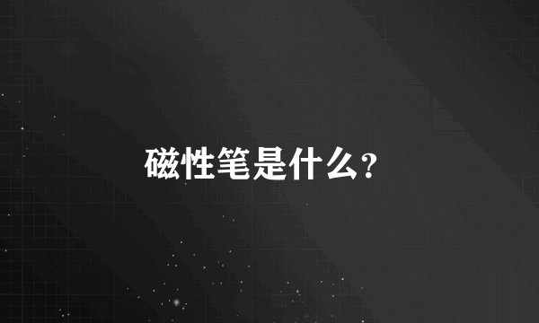 磁性笔是什么？