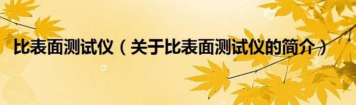 比表面测试仪（关于比表面测试仪的简介）