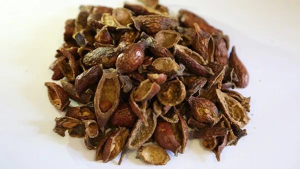 怡可安的使用说明书请收藏 怡可安每天的剂量多少适合