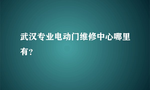 武汉专业电动门维修中心哪里有？