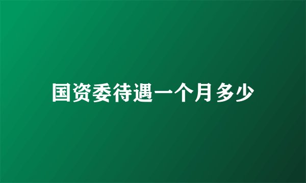 国资委待遇一个月多少