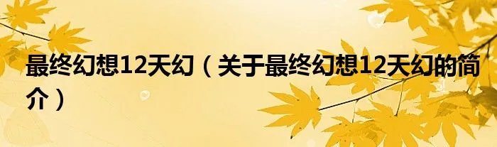 最终幻想12天幻(关于最终幻想12天幻的简介)