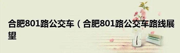 合肥801路公交车（合肥801路公交车路线展望