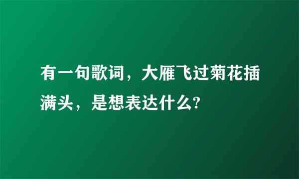 有一句歌词,大雁飞过菊花插满头,是想表达什么?