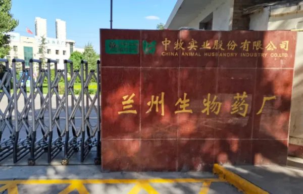 兰州布病事件赔偿方案公布，感染者同意了吗？