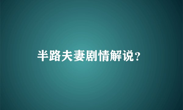 半路夫妻剧情解说？