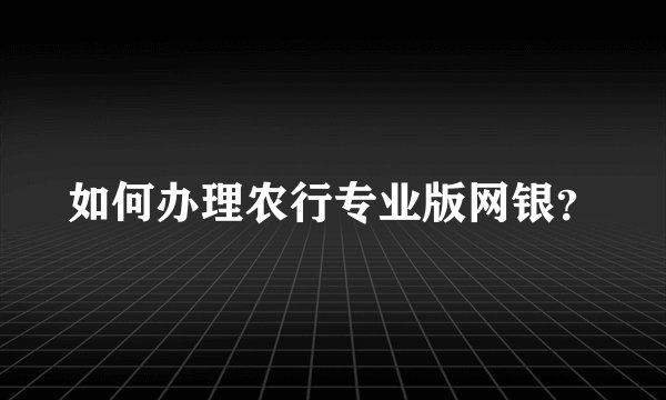 如何办理农行专业版网银？