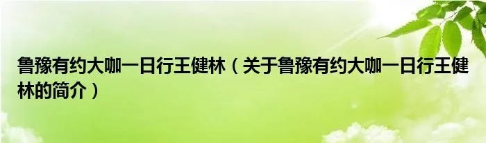 鲁豫有约大咖一日行王健林（关于鲁豫有约大咖一日行王健林的简介）