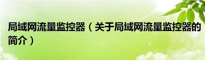 局域网流量监控器（关于局域网流量监控器的简介）
