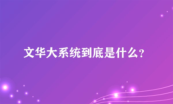 文华大系统到底是什么？