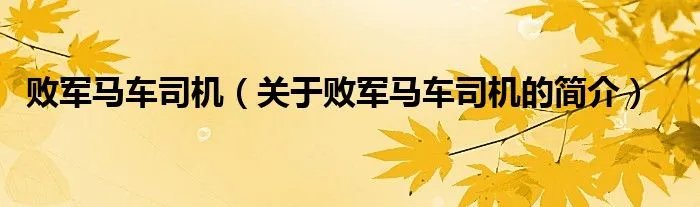 败军马车司机（关于败军马车司机的简介）