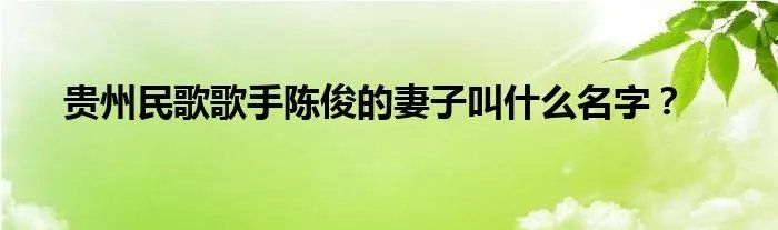 贵州民歌歌手陈俊的妻子叫什么名字？
