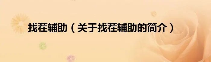 找茬辅助（关于找茬辅助的简介）