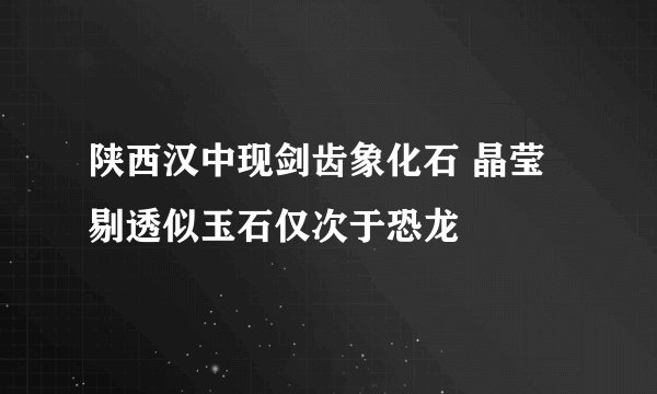 陕西汉中现剑齿象化石 晶莹剔透似玉石仅次于恐龙