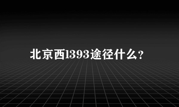 北京西l393途径什么？
