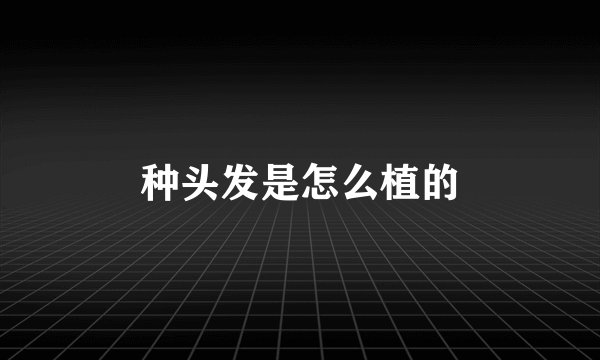 种头发是怎么植的