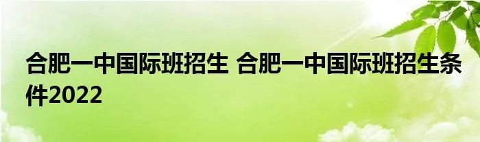 合肥一中国际班招生 合肥一中国际班招生条件2022