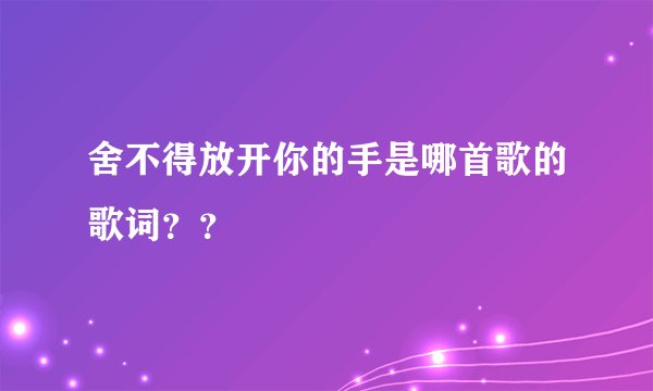 舍不得放开你的手是哪首歌的歌词？？
