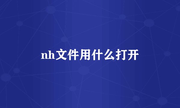 nh文件用什么打开